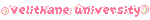 VCU blinkie VCU blinkie