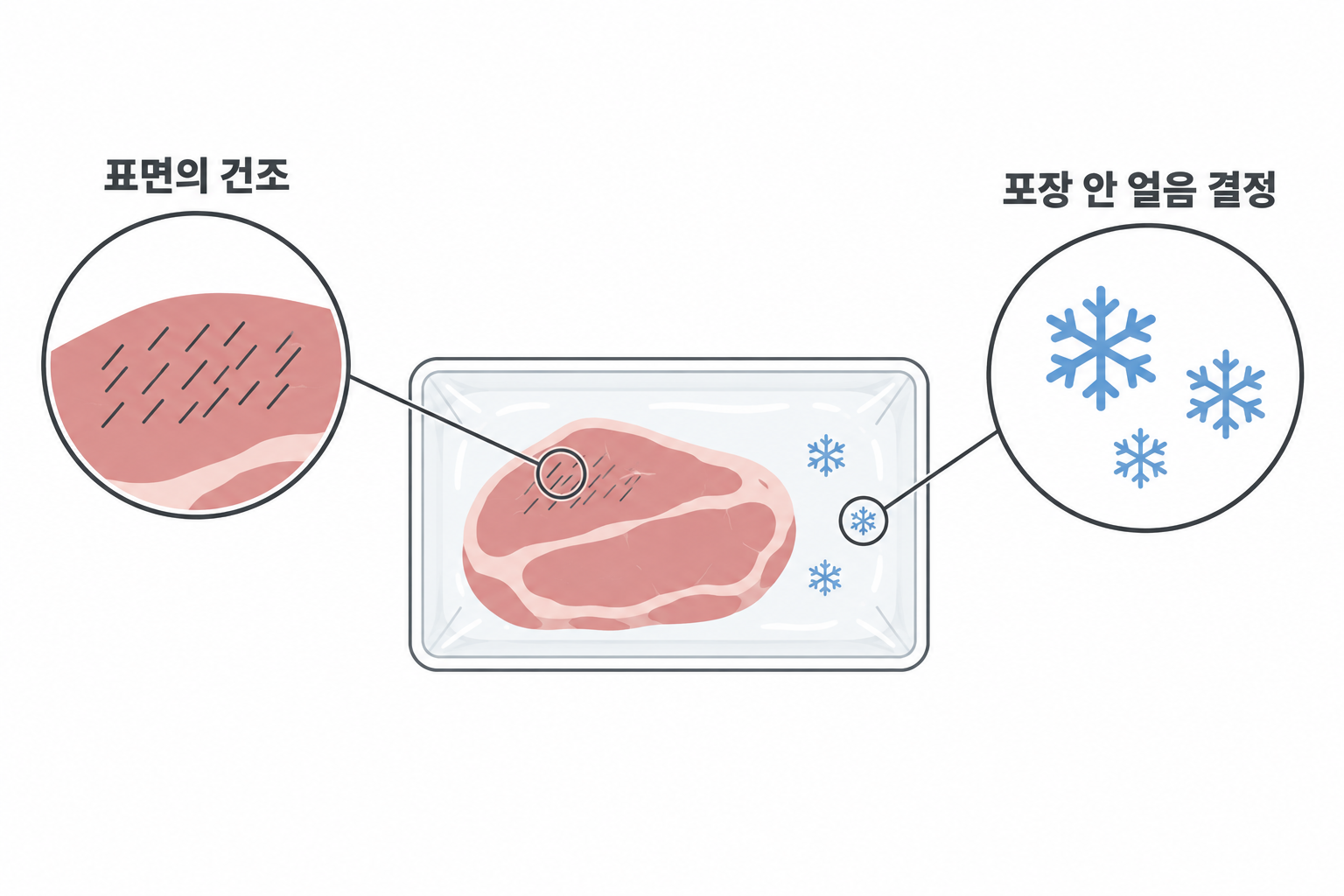 설명용 개념도: 고기 표면의 건조와 포장 안 얼음 결정의 관찰 위치 구분
