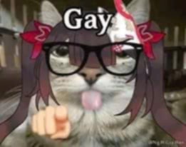 Ngọc linh DeveloperLoader Screen