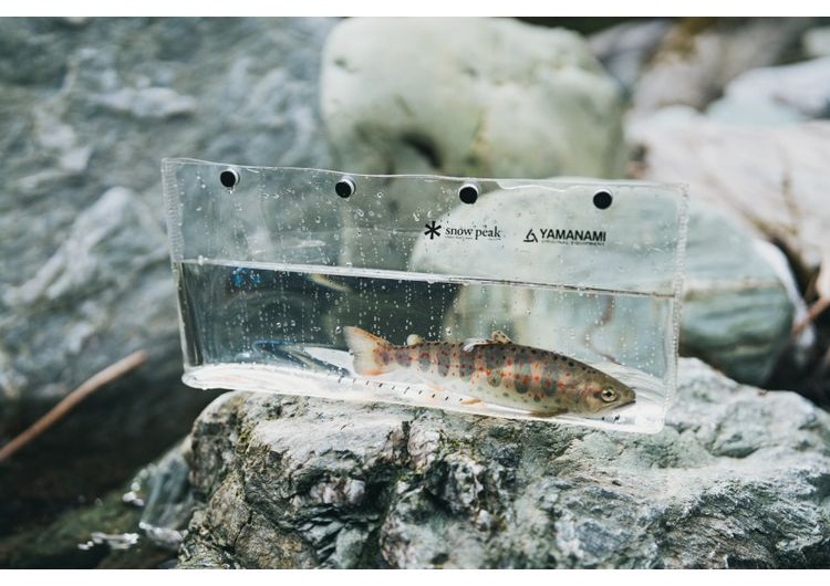 Capture L 裝入溪水後觀察魚體的使用方式