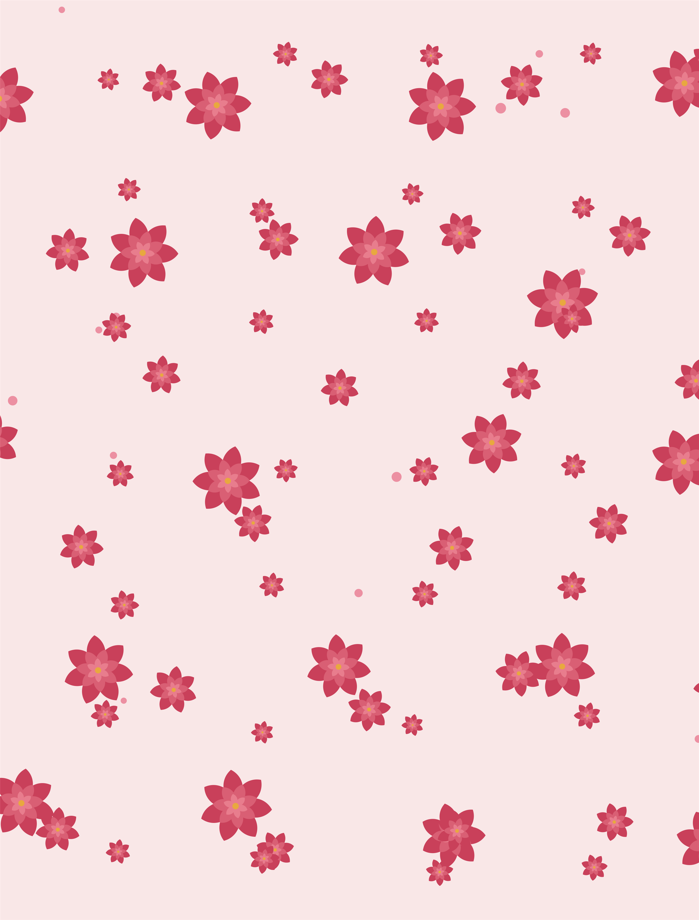Oklahoma Rose — Oklahoma state flower