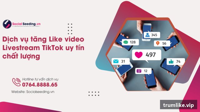 Dịch vụ tăng like Tiktok tại Trumlike.vip