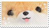 doge