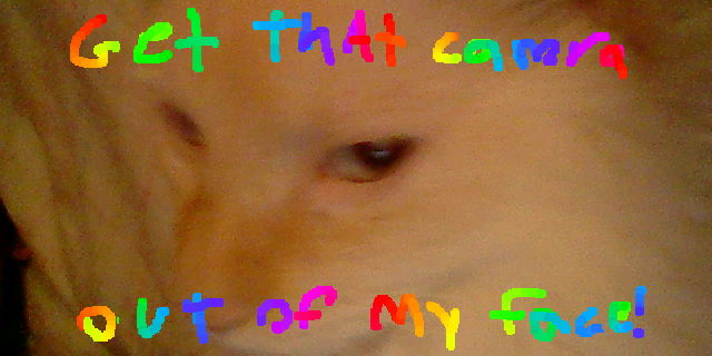 An altered version of the photo where Ángel is giving the camera a side-eye. This version has rainbow text written on the top and bottom of the photo that reads, "Get that camra out of my face!". The word "camera is misspelled."