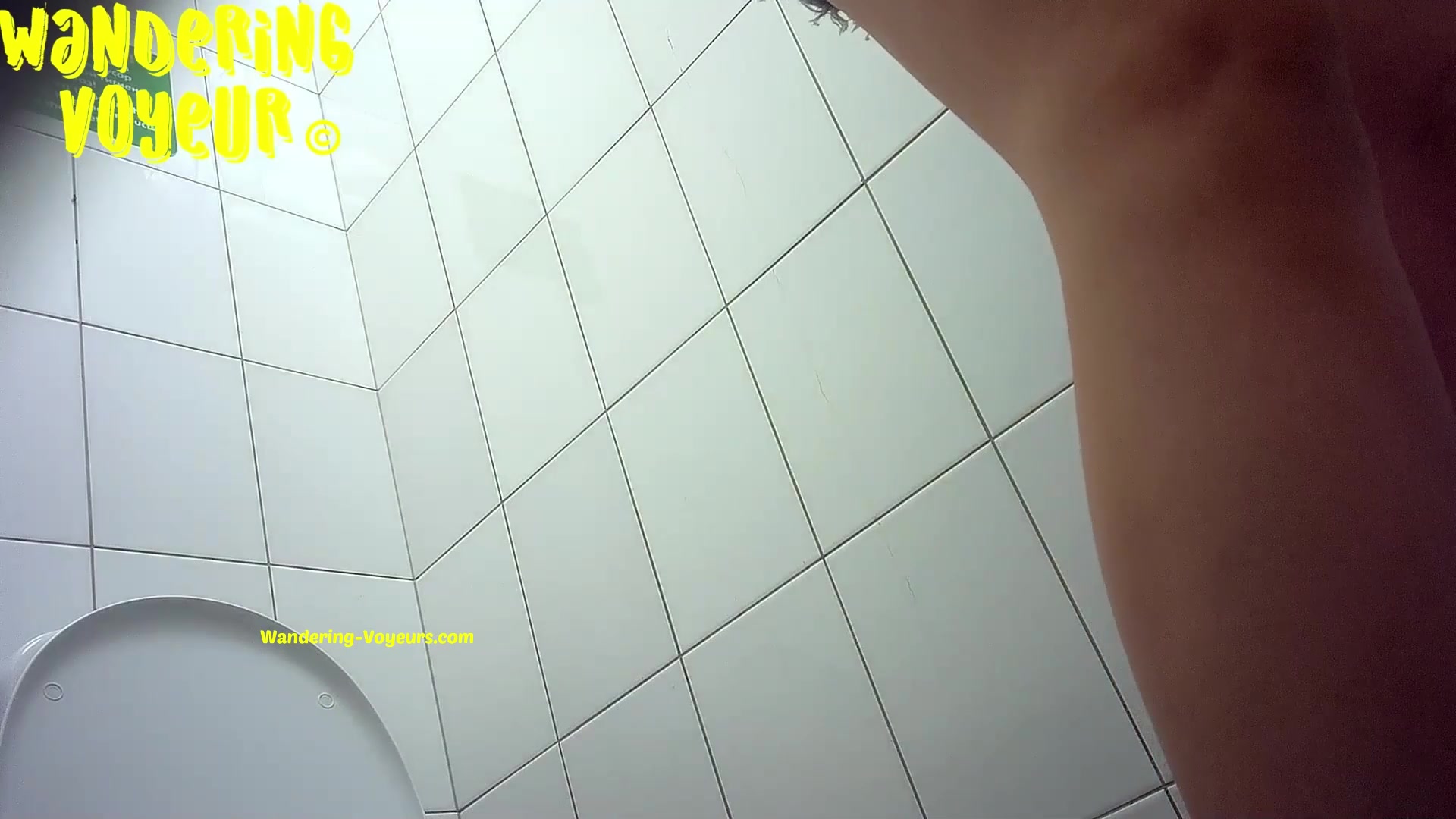 Toilet Spy — 0330(91) — screenshot 2
