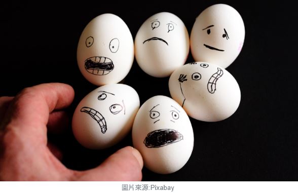 「芬普尼雞蛋」風暴全面曝光！你買的雞蛋真的安全嗎! AI筆記最新檢驗、溯源碼教你一看便知