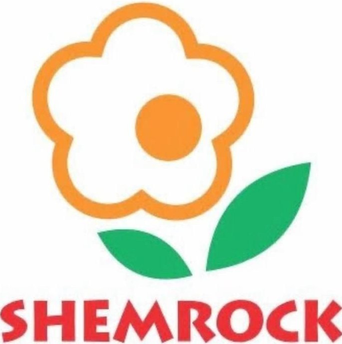 Shemrock Undri Central Hub Logo - Best Preschool in Undri