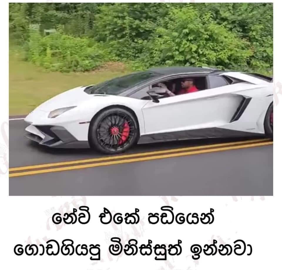 566fh4.jpg