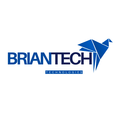 Brian Tech Space Logo