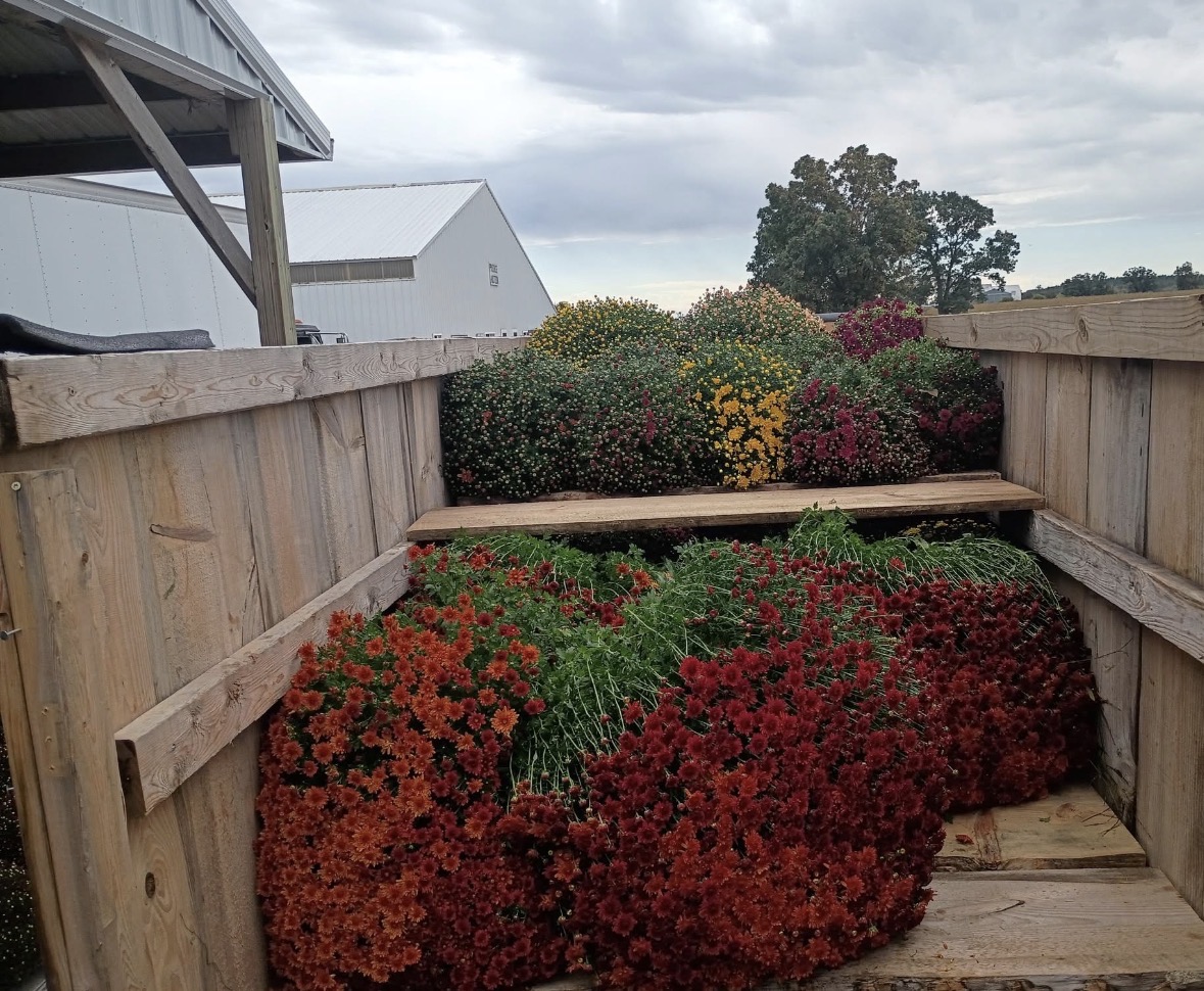 Fall season at the corner of Northland and Lynndale — DJ's Fresh Market, Appleton
