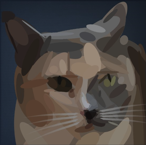my cat