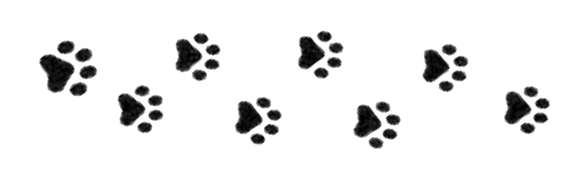 ┣▇▇▇═──♡ ┣▇▇▇═──♡