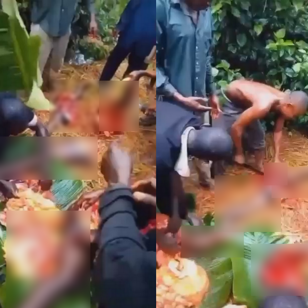 Khu vực xảy ra vụ việc tại Nigeria