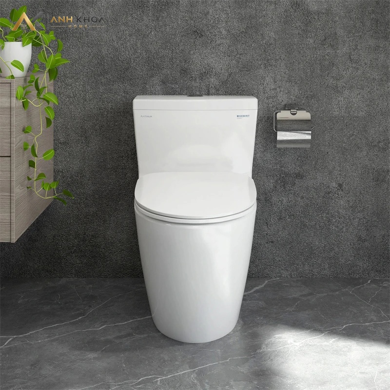 bon cau platinum p11320 lien khoi
