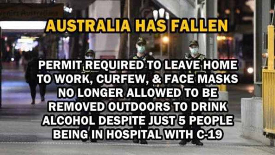 2021年8月17日星期三:三伏天不能懒洋洋地躺在疲惫的草坪上