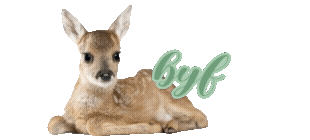 deer sat down with the text "byf" floating behind