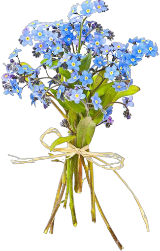 bouquet of forget me nots