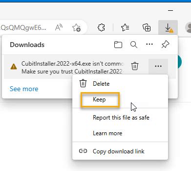 Browser download warning example