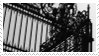 61aoim.png