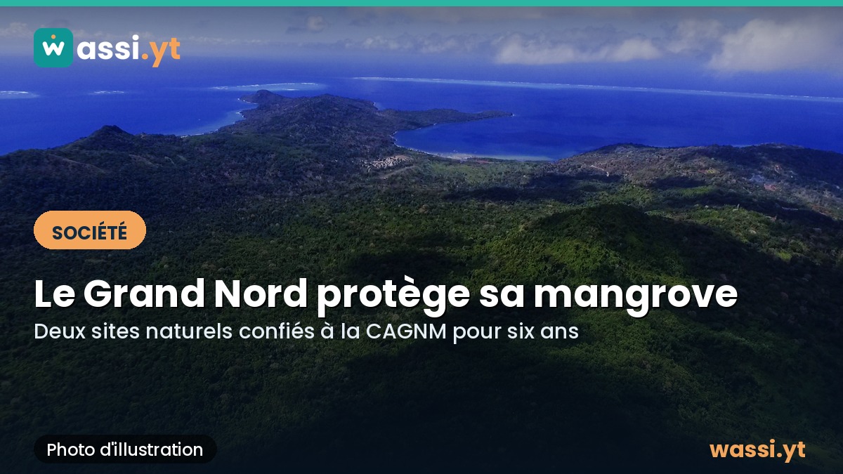 Environnement à Mayotte : le Grand Nord prend en main sa mangrove et les îlots Choizil