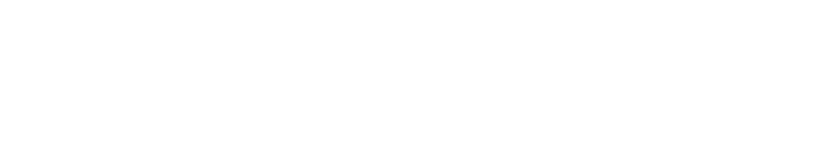 AIBoomi