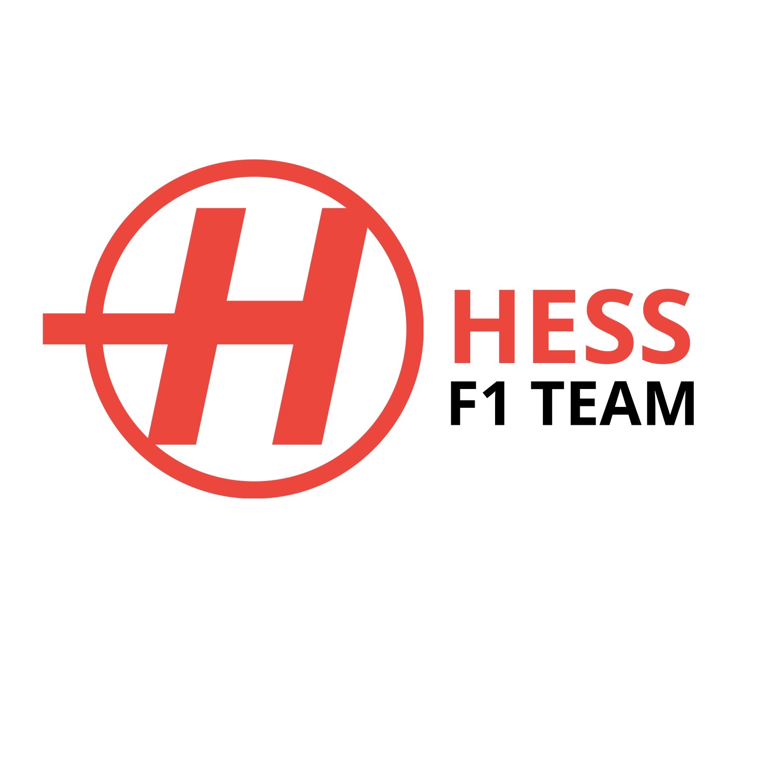 Hess Formula one Team