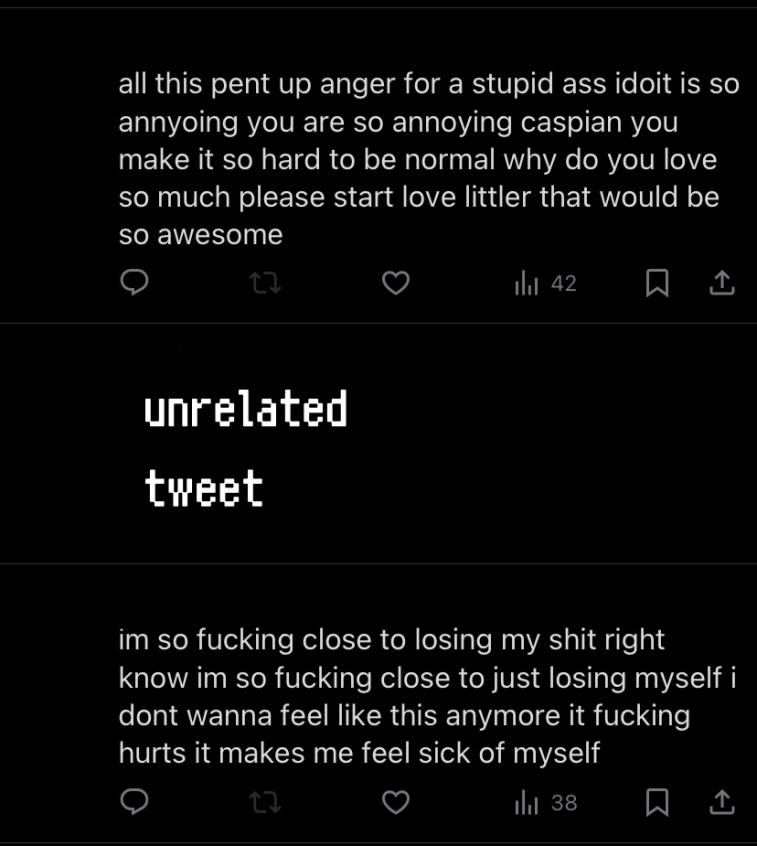 her vague posts which i can only presume was about me or chem