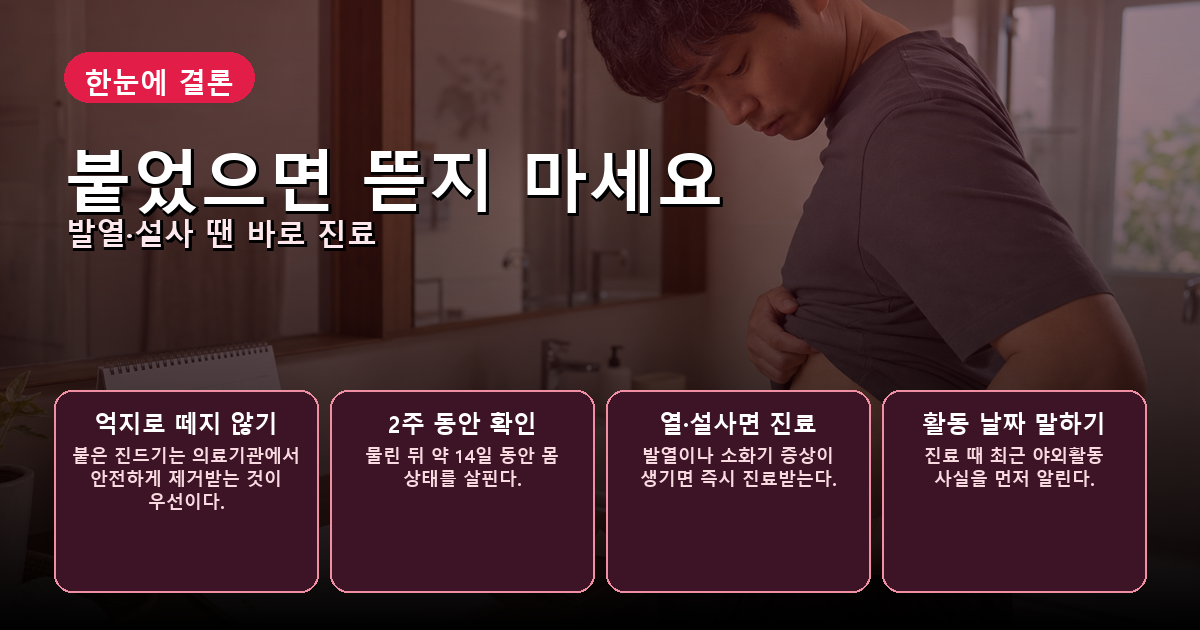 진드기를 억지로 뜯지 않고 2주 동안 증상을 확인한 뒤 발열과 설사가 생기면 병원에 가는 순서