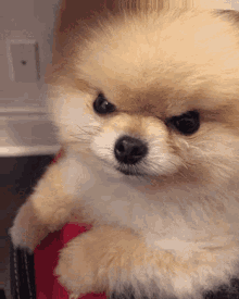 6ed2l7.gif