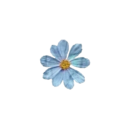 📓  mimi / mira   .   shi, her's avatar