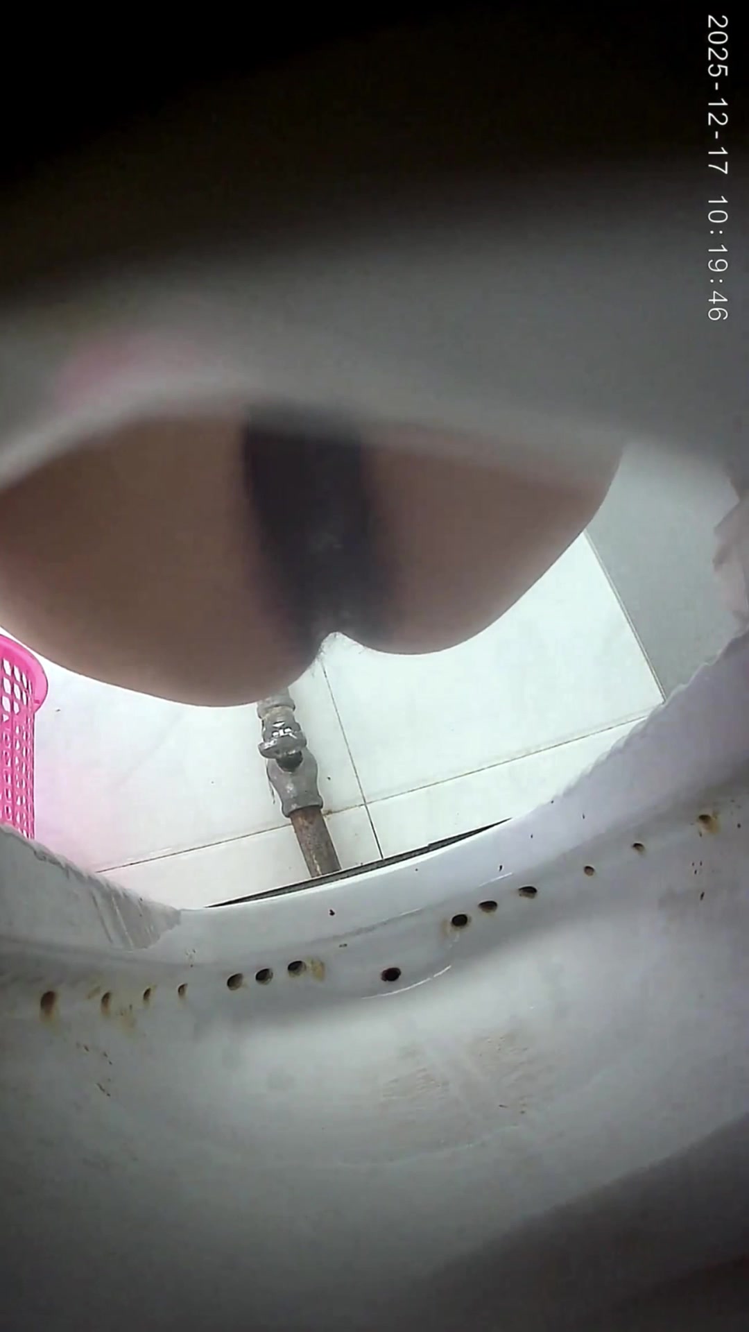 Toilet Spy — P0508(57) — screenshot 2