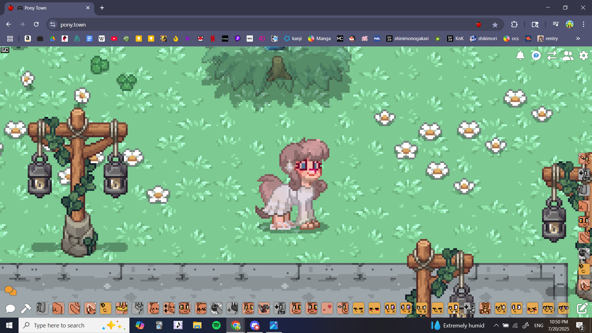 Color Fes Honami | proseka