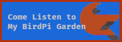 Listen to My BirdPi Garden