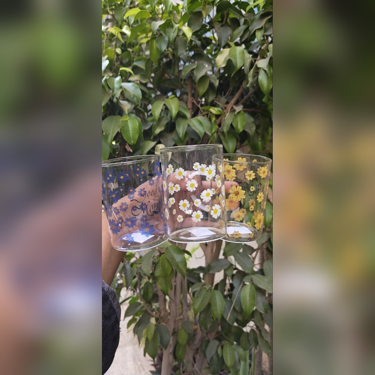 مج زجاج حراري شفاف بورد عباد الشمس Good Morning
