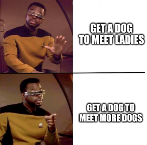 geordi la forge got a dog to meet other dogs
