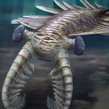 anomalocari