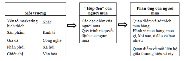 Mô hình hộp đen người tiêu dùng