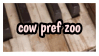 cow pref zoo / cow preference zoo