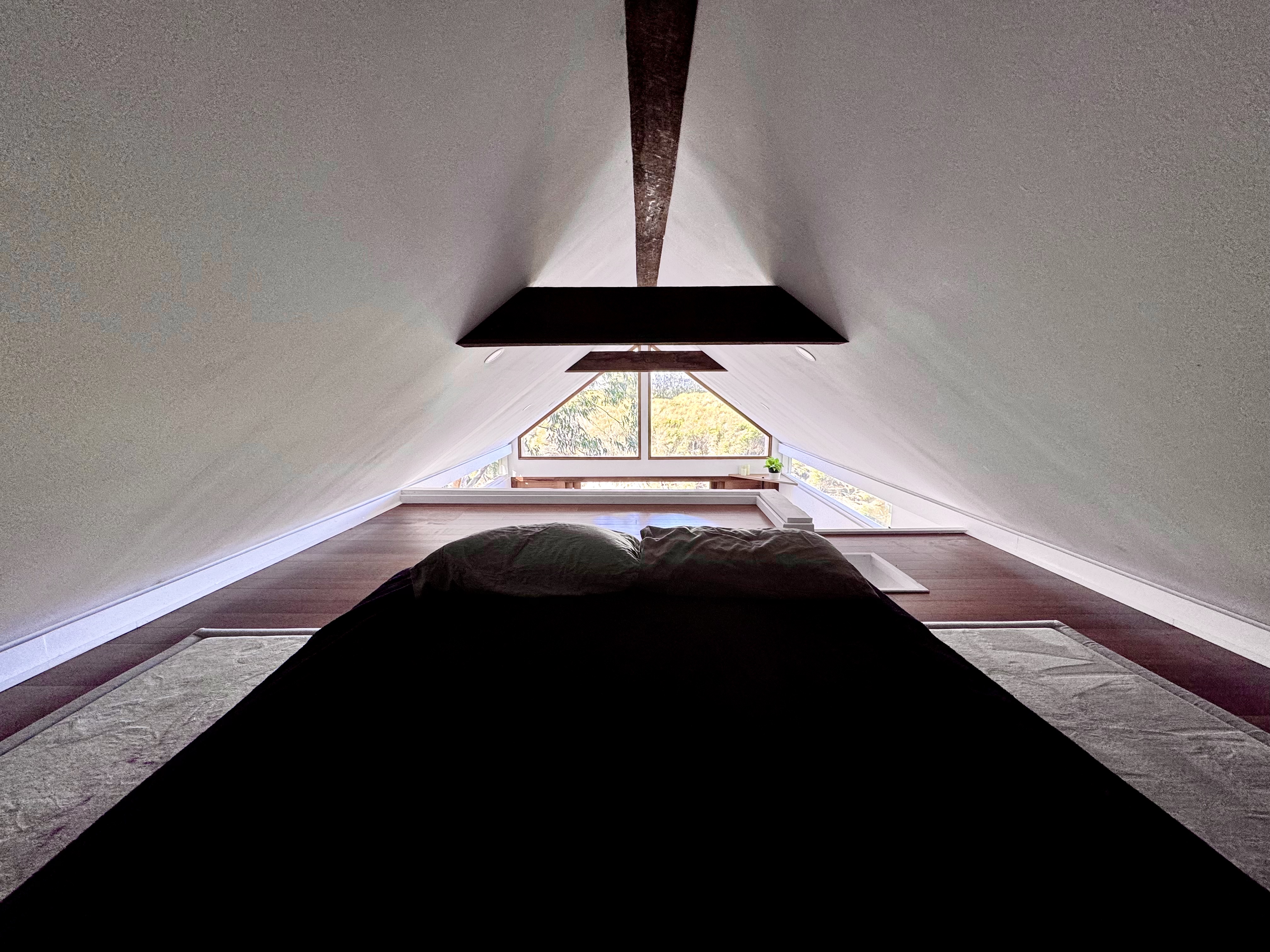 Loft Bed Views