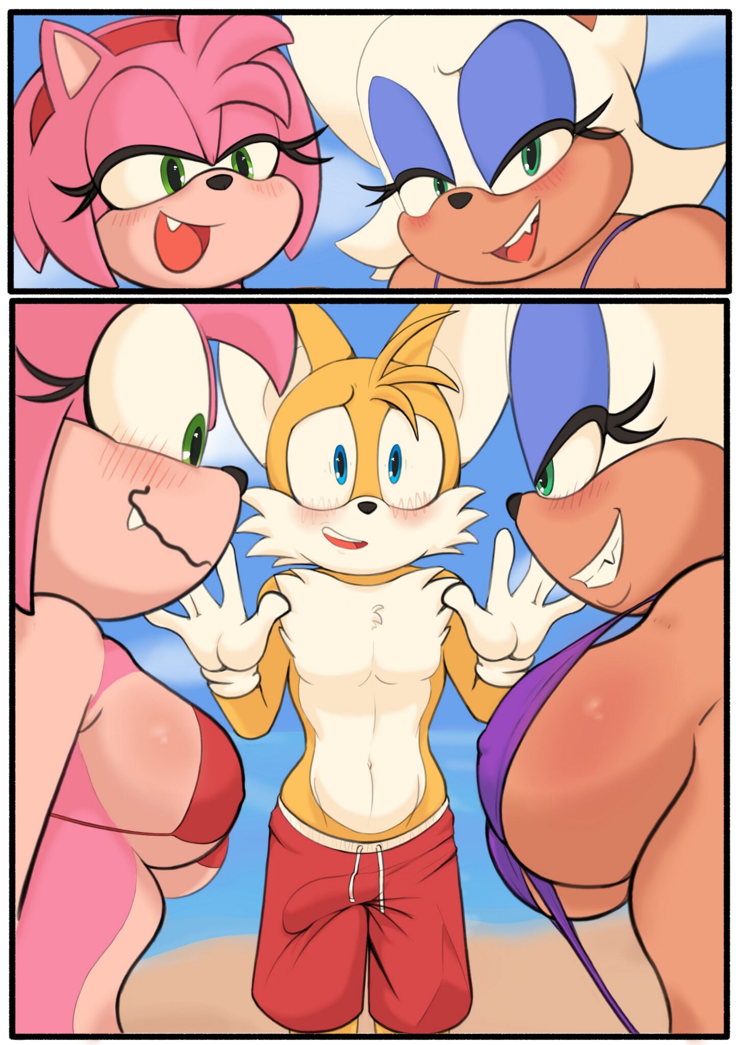 Tails at the Beach – Pinkfalcon (Sonic) 2