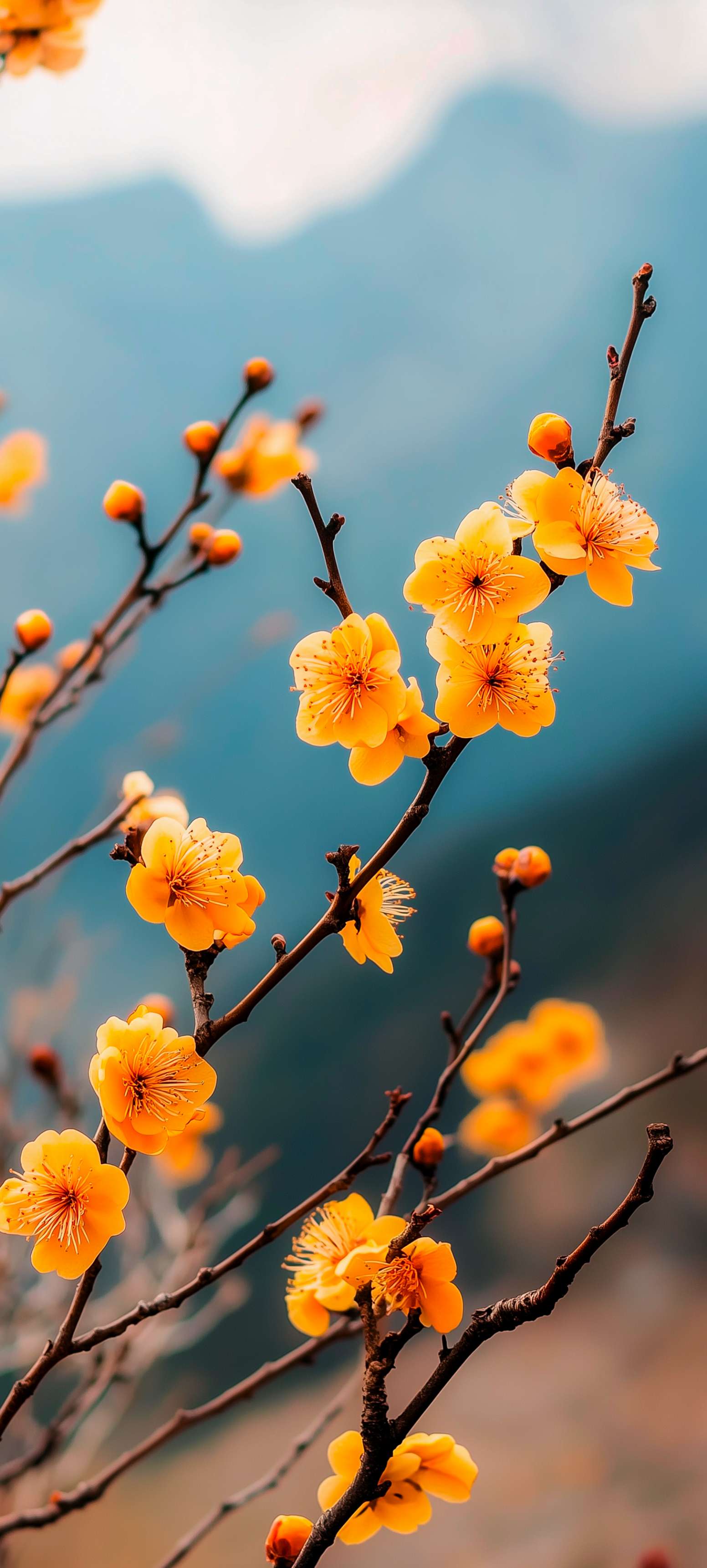 Flowers Wallpaper