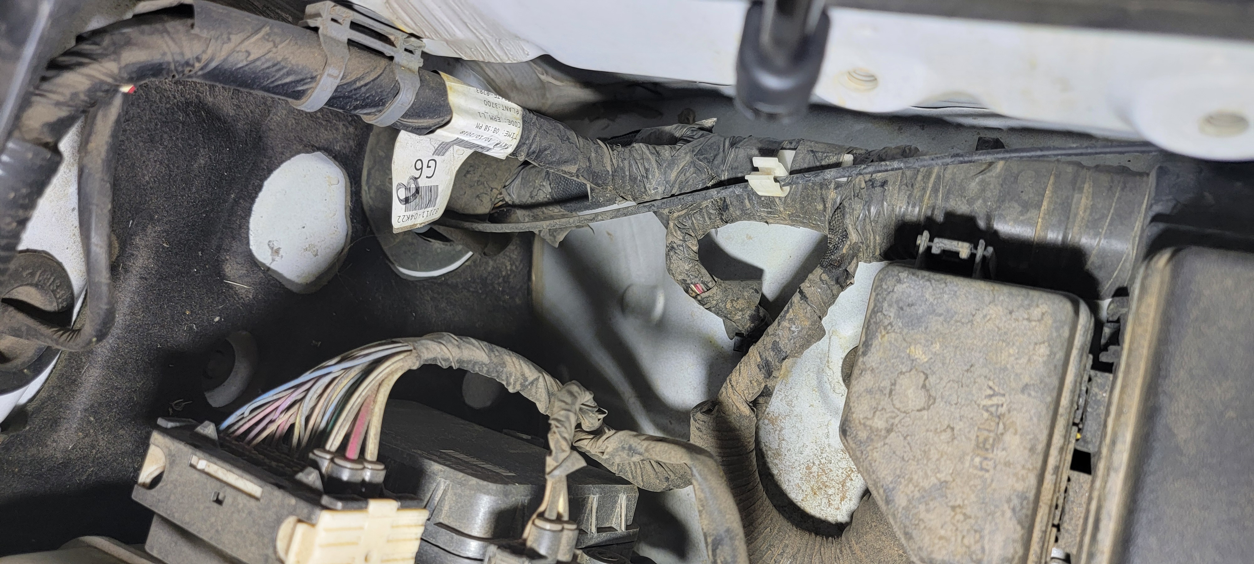 Before I clean my engine bay, does this wiring look normal/factory