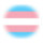 transgender