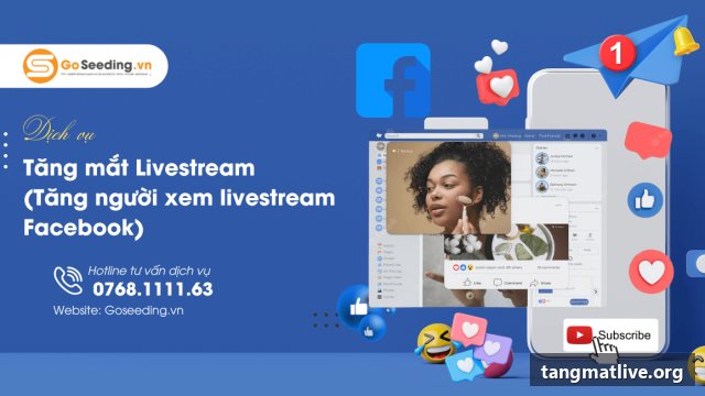 Dịch vụ tăng mắt live Facebook tại Tangmatlive.org