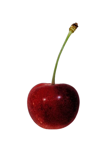 cherry