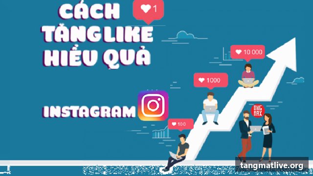 Dịch vụ tăng tương tác Instagram tại Tangmatlive.org