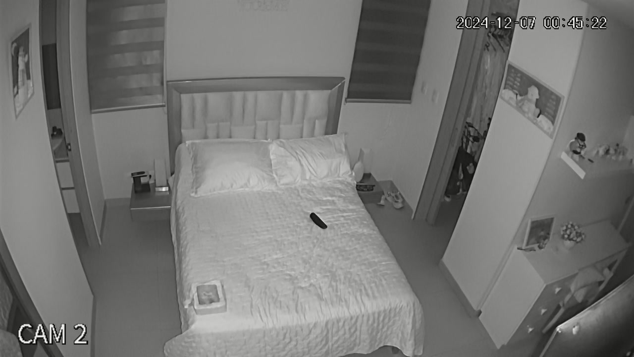Hidden Voyeur — 1_5120938546957387771 — screenshot 2