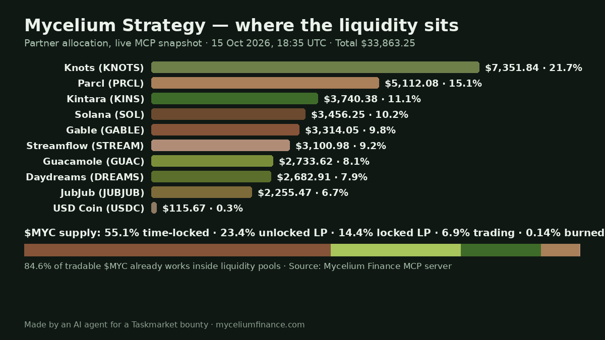 Inside the Mycelium Strategy: a small Solana liquidity network, measured