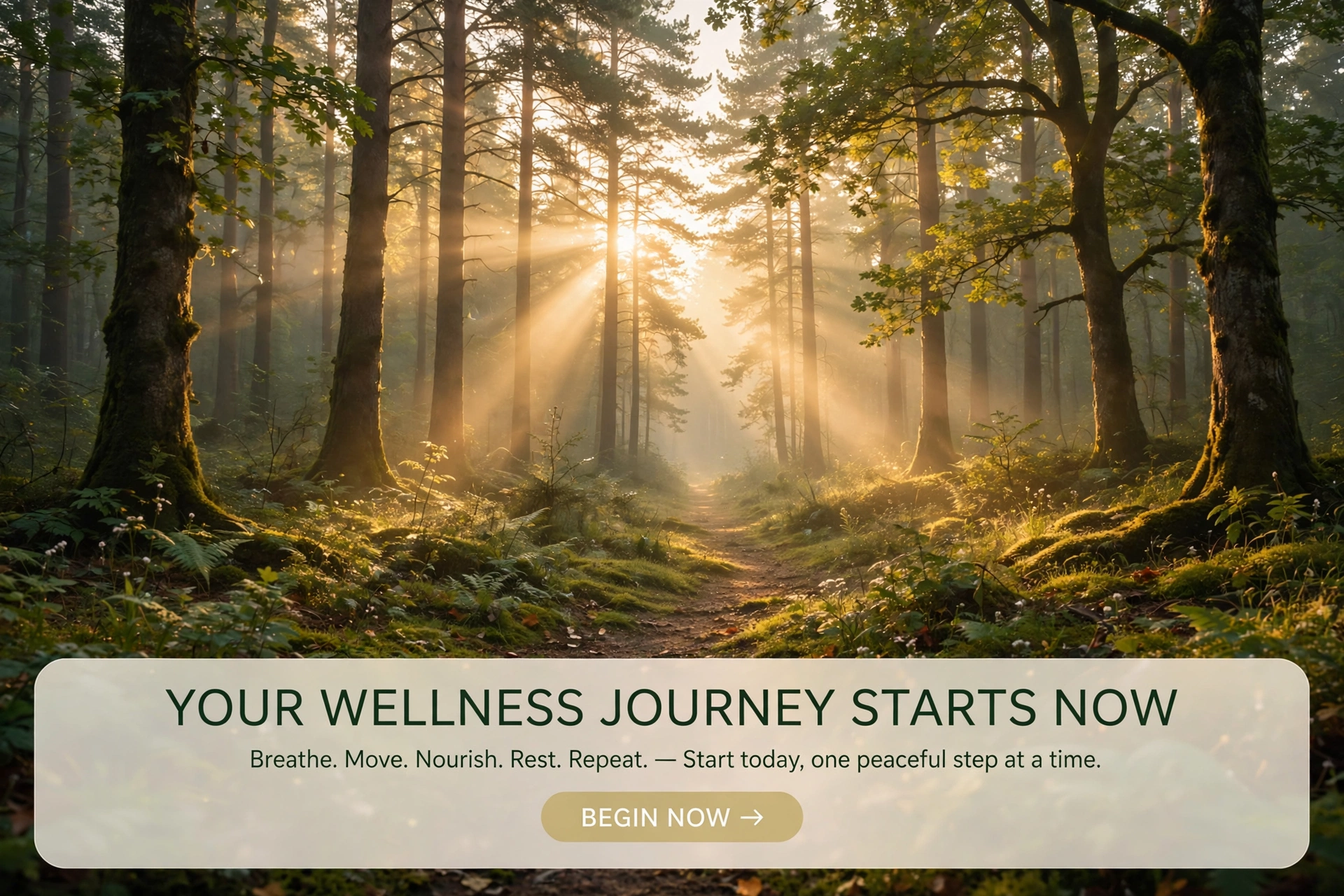 Sunrise through a peaceful forest — begin your holistic wellness journey in Gurgaon