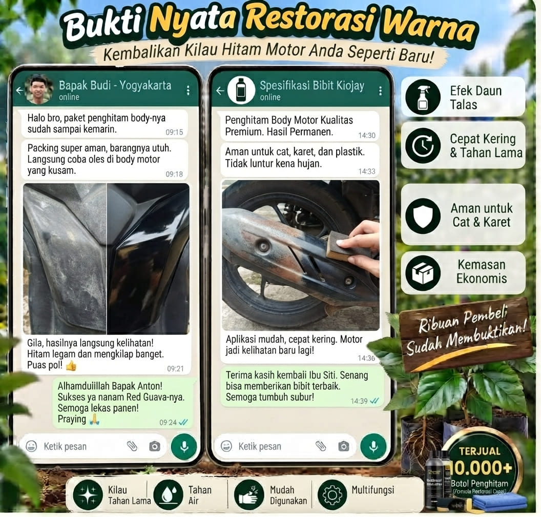 Testimoni Motor NMAX